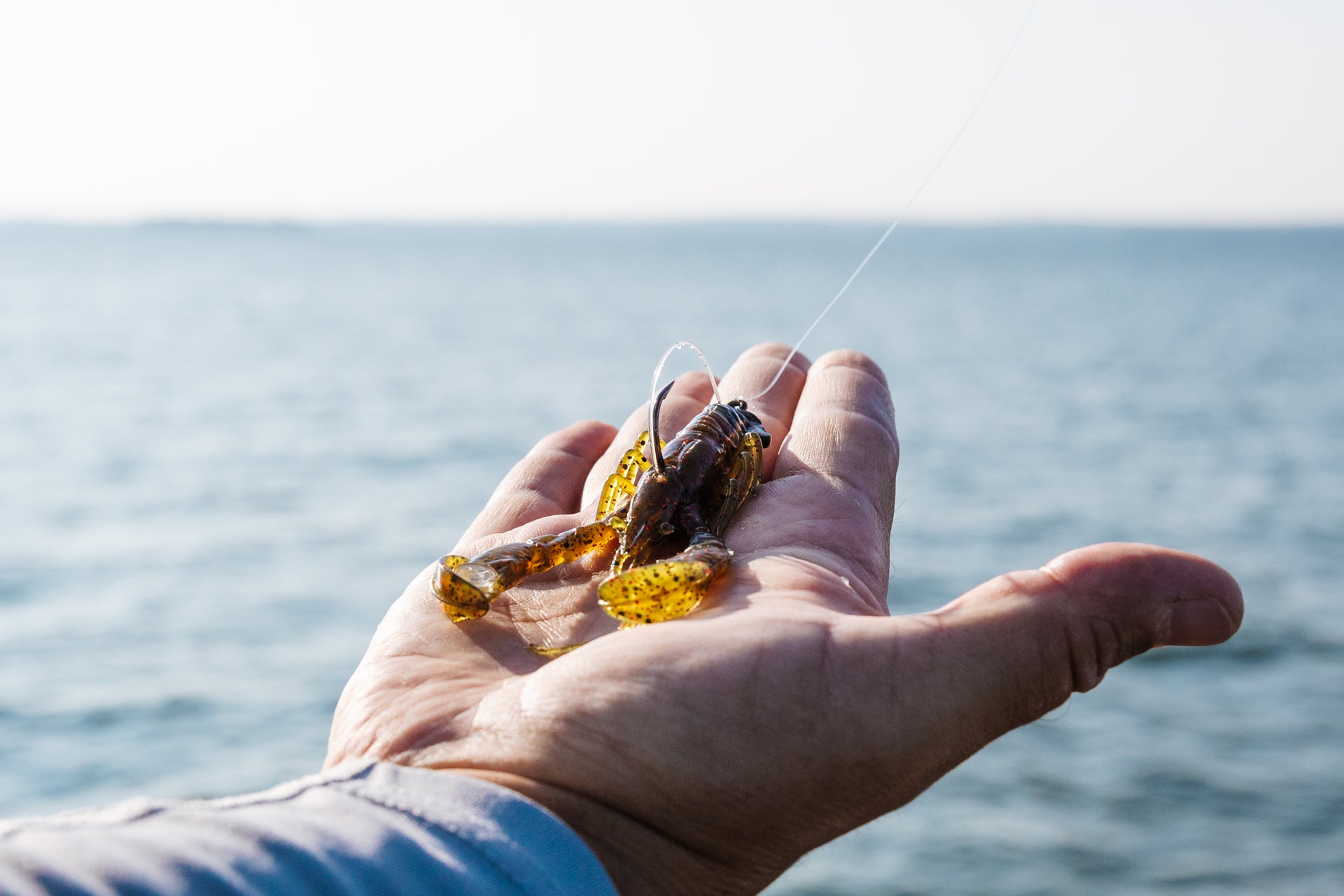 Berkley PowerBait® Clatter Craw bait posed in a mans hand overlooking the horizon on Lake Murrary