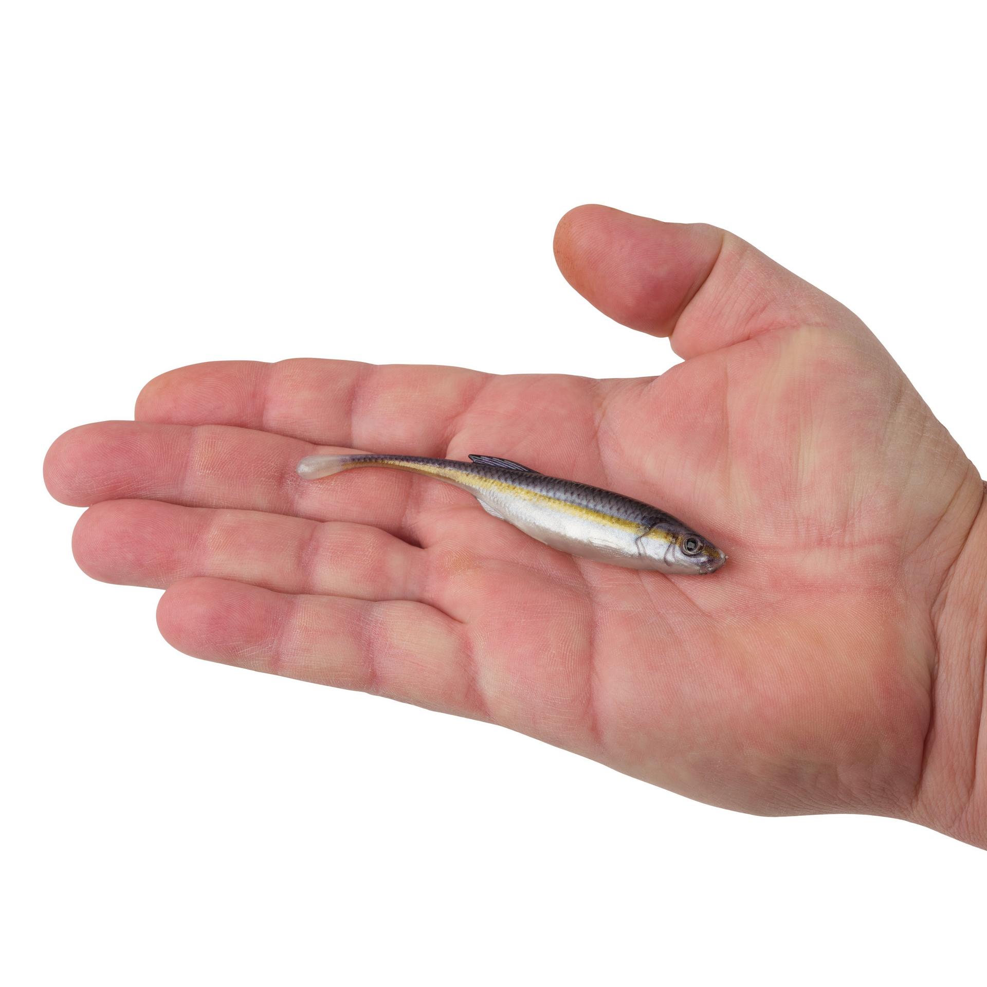 PowerBait® Drip Minnow