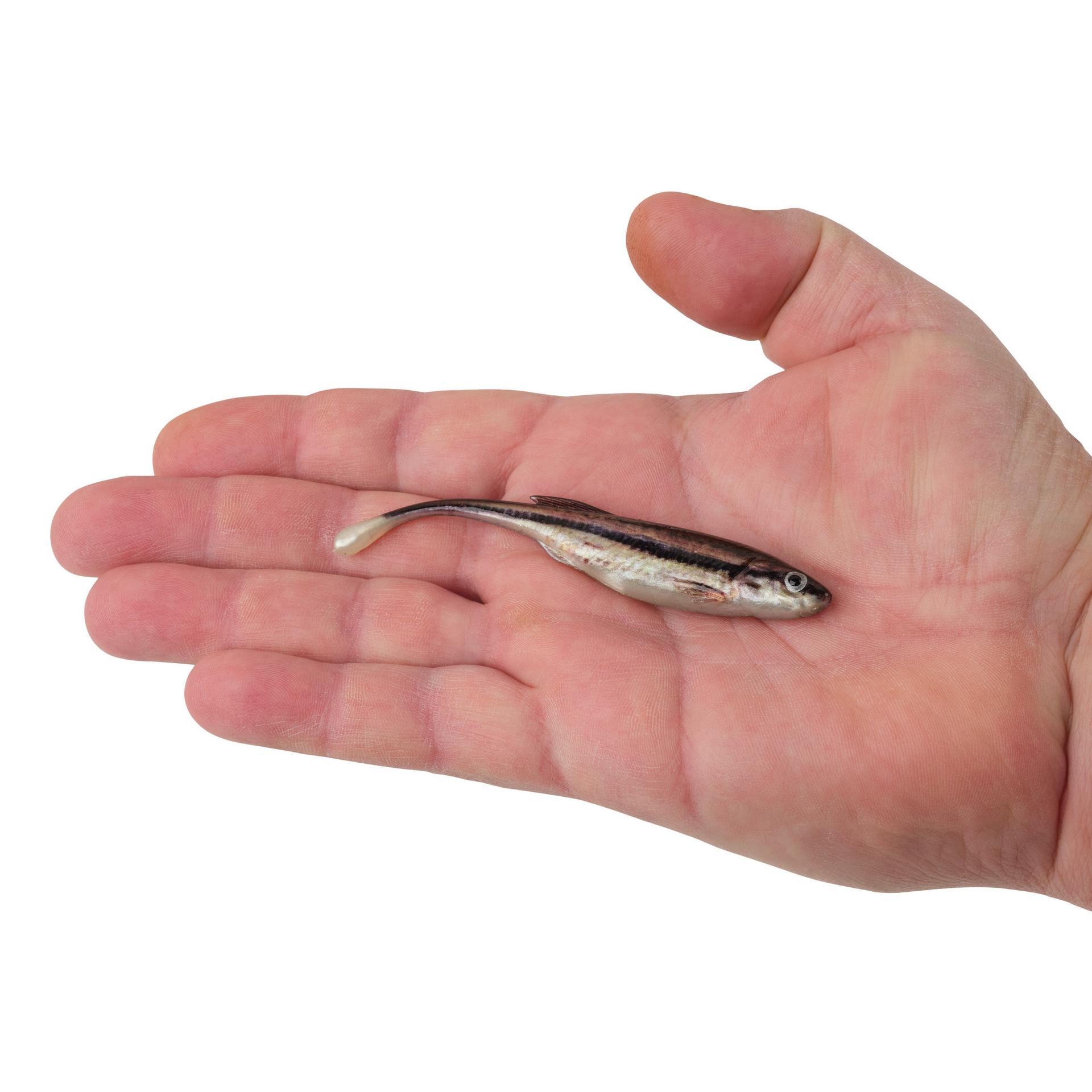 PowerBait® Drip Minnow