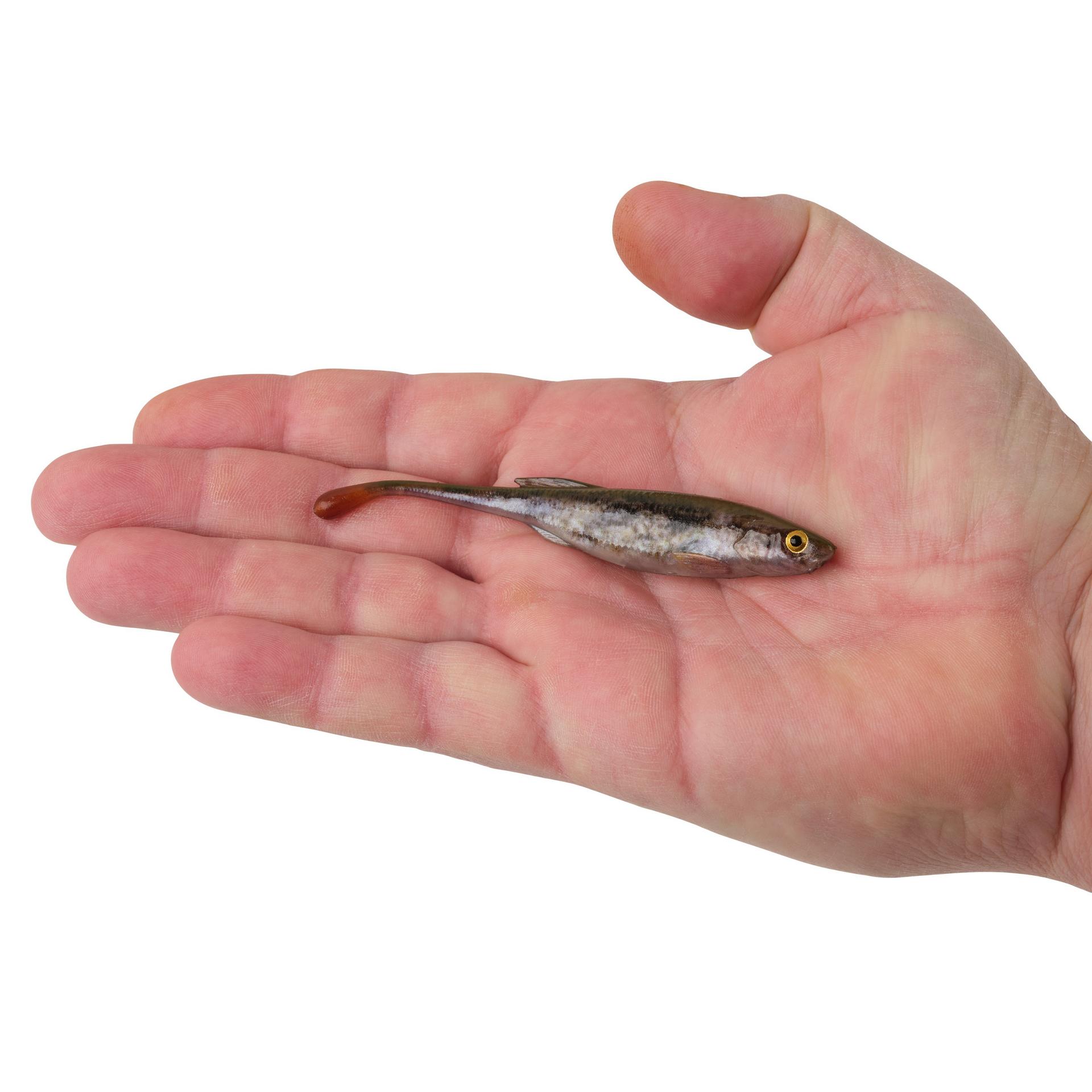 PowerBait® Drip Minnow