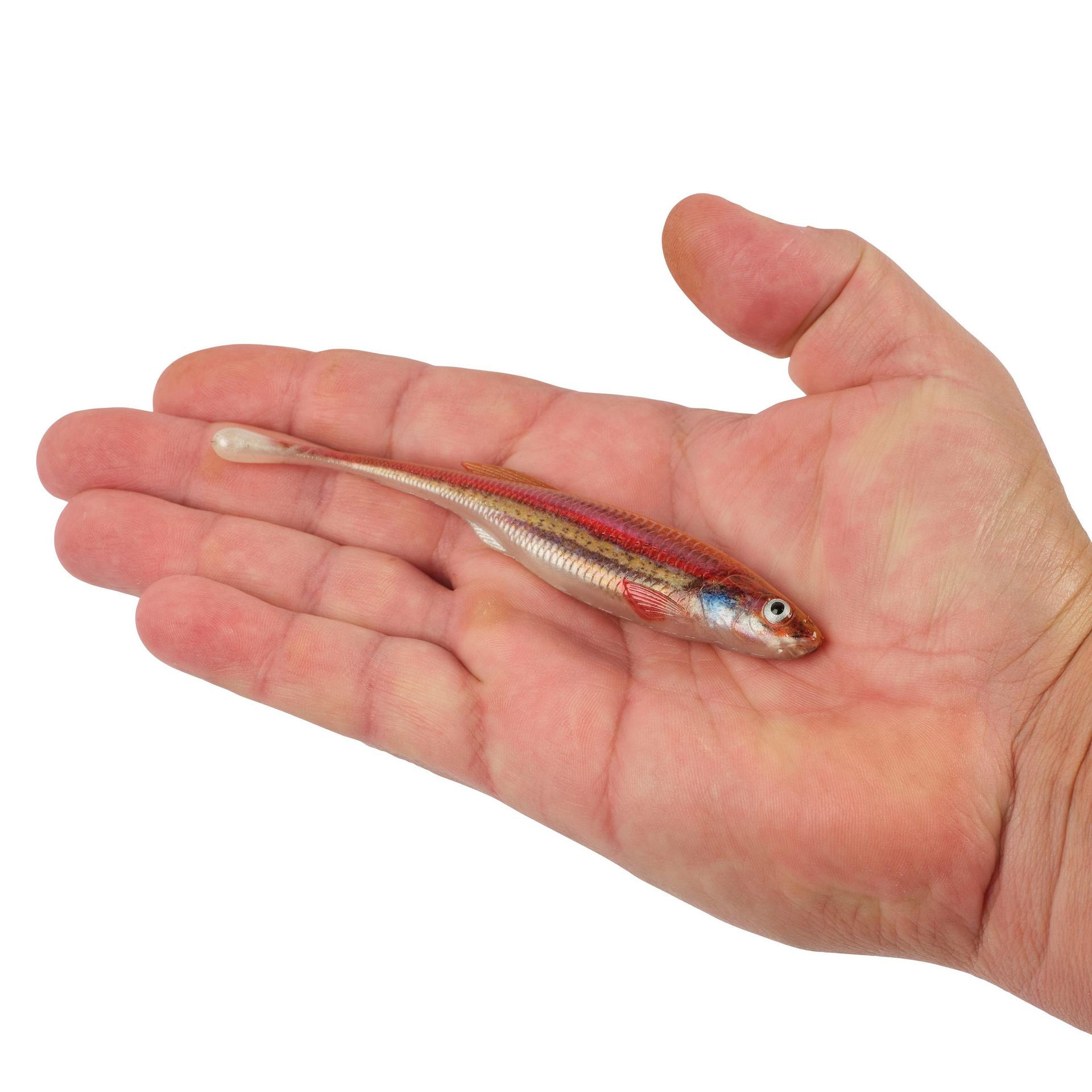 PowerBait® Drip Minnow